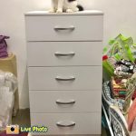 ESCOT 5 Drawer Chest-White - Image 3