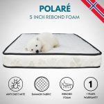 KRISTIE 5" Foam Mattress-2 Sizes