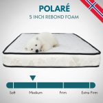 KRISTIE 5" Foam Mattress-2 Sizes - Image 2