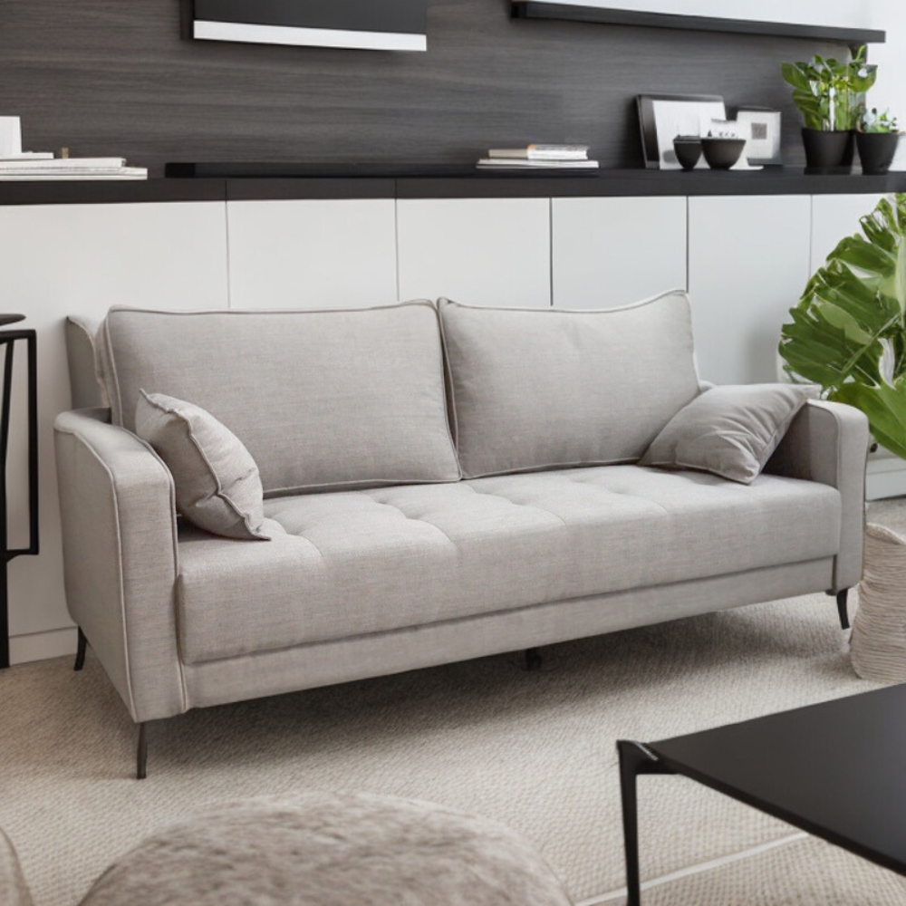 2 cushion discount couch