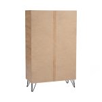 SIMON 2 Door Shoe Cabinet-Oak - Image 6