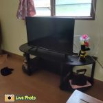 FLEXI POLE 4 Feet TV Rack-Black - Image 3