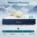 [Package] OLIVE Queen & King Bed With 11 Inch Foam Mattress - Image 4