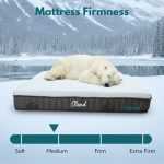 POLARÉ CLOUD 9 inch HD Foam With Arctic Cool Fabric Mattress-4 Sizes - Image 3
