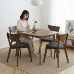 NAIDA 4 Seater Dining Set-Walnut