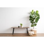 CARSYN 120cm Coffee Table-Cocoa - Image 10