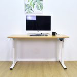Flexispot PR-1407 140x70cm Electric Standing Desk-Maple - Image 12
