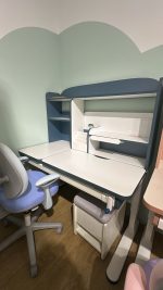 N21S Ergonomic Kids Study Desk-Blue - Image 11