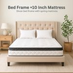 [Package] CARINA Bed With 10 Inch Spring Mattress-2 Sizes