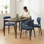 ELDA 4 Seater Dining Set-Blue
