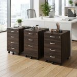 QUEENA Full Melamine Pedestal With Key Lock-Walnut - Image 3
