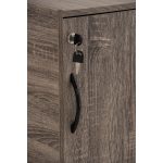 CODEY 3 Door Storage Cabinet With Key Lock-Fleton Oak - Image 9