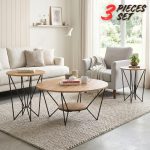 [Set of 3] GOLA Nest of Coffee Table Set-Oak
