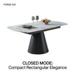 FORGE A13 Induction Cooker Build In Extension Round Table - Image 3
